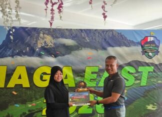 喜讯分享 | Good News