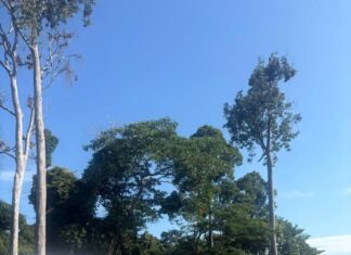 恭喜高二智 陈焕英 同学!