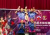 2026年沙巴武术锦标赛