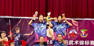 2026年沙巴武术锦标赛
