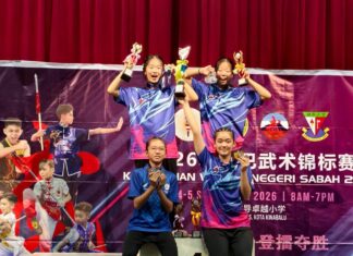 2026年沙巴武术锦标赛